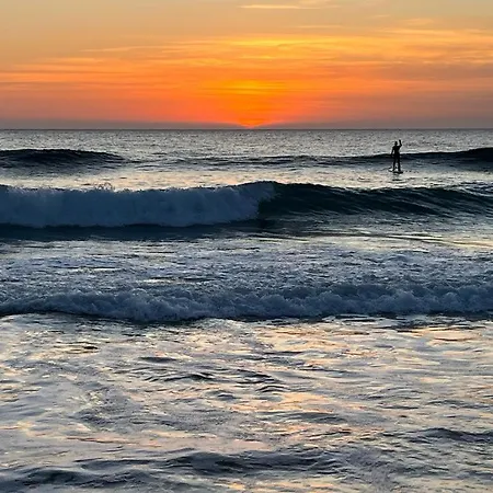 Endless Summer House